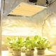 1000w 2000w Led Ts Plants Grow Light Full Spectrum For Indoor Veg Flower Plant