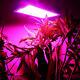 1000w Full Spectrum Led Grow Light For Flower Plants Veg And Indoor Plants