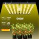 1000w Grow Light Led 6x6ft Full Spectrum Phlizon Commercial For Vertical Farming