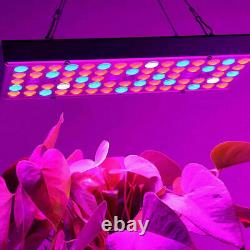1000W LED Full Spectrum UV IR Plant Grow Light Veg Hydroponic Growing Lamp Herb