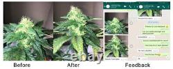 1000W LED Grow Light Full Spectrum Samsung For Indoor Veg Bloom Plant Growth