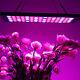 1000w Led Grow Light Hydroponic Full Spectrum For Indoor Veg Flower Plant Lamp Q