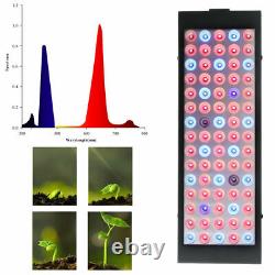 1000W LED Grow Light Hydroponic Full Spectrum For Indoor Veg Flower Plant Lamp Q