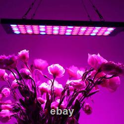1000W LED Grow Light Hydroponic Full Spectrum For Indoor Veg Flower Plant Lamp Y