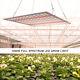 1000w Led Grow Light Ultra-thin Panel Full Spectrum For Indoor Plants Veg Lamp