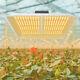 1000w Led Grow Light Full Spectrum For All Indoor Plant Veg Flower Usa
