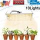 10x 1000w Led Grow Light Kit Full Spectrum Sunlike All Indoor Plant Veg Flower