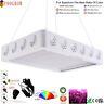 1200/2000with4000w Led Grow Light Hydroponic Full Spectrum Indoor Veg Flower Plant
