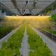 1200w Indoor Led Grow Light 28.34inch Hydroponic Plants Veg Flower Growing Panel