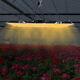 1200w Led Grow Light Full Spectrum For Hydroponic Indoor Plants Veg Flower Ip65