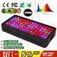 1200w Led Grow Light With 12 Band Full Spectrum Veg Bloom Switches For Hydroponic