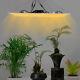 1200w Lm301b Led Grow Light Full Spectrum Dimmable Indoor For Plants Veg Bloom