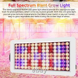 1600W 240LED Grow Light Lamp Full Spectrum Indoor Plants Veg Flower Timer Remote