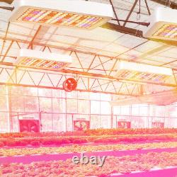 1600W 240LED Grow Light Lamp Full Spectrum Indoor Plants Veg Flower Timer Remote