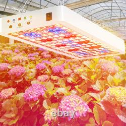 1600W 240LED Grow Light Lamp Full Spectrum Indoor Plants Veg Flower Timer Remote