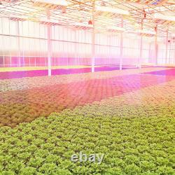 1600W 240LED Grow Light Lamp Full Spectrum Indoor Plants Veg Flower Timer Remote