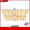 2000w 4000w 1000w Led Grow Light Samsung Lm301b Indoor All Stages Veg Flower