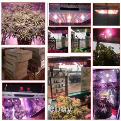 2000W Full Spectrum COB LED Grow Light Lamp For Plants Flower Veg Hydroponics