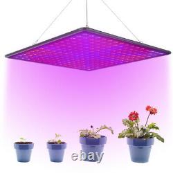 2000W LED Full Spectrum Plant UV Grow Light Veg Lamp For Indoor Hydroponic Plant