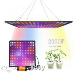 2000W LED Full Spectrum Plant UV Grow Light Veg Lamp For Indoor Hydroponic Plant