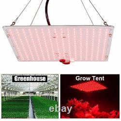 2000W LED Grow Light For Flower Stage Full Spectrum Indoor Plant Veg 240pcs LEDs