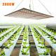 2000w Led Grow Light Full Spectrum Hydroponics For Indoor Veg Plant Growing Lamp
