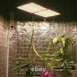 2000W LED Grow Light Full Spectrum Hydroponics for Indoor Veg Plant Growing Lamp