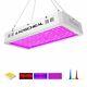 2000w Led Grow Light Full Spectrum Plant Grow Light With Veg And Bloom Switch