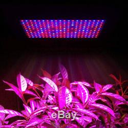 2000W LED Grow Light Full Spectrum Plant Lamp Flower Veg Greenhouse Indoor US