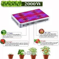 2000W LED Grow Light Panel Full Spectrum Lamp for Plants Hydroponics Veg Flower