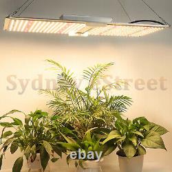 2000W LED Grow Light Samsungled LM301B Full Spectrum Veg Flower Indoor Plants US