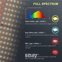 2000W Spider LED Grow Light Panel Sunlike Full Spectrum for Seedling Veg Flower