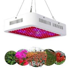 2000With1200With1000With600W LED Grow Light Panel Full Spectrum Indoor Veg Bloom Plant