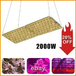 2000w LED Grow Light Full Spectrum for Greenhouse Indoor Plant Veg and Flower