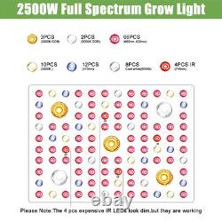 2500W Cree COB LED Grow Light Veg/Bloom for Indoor Hydroponic Greenhouse Plants