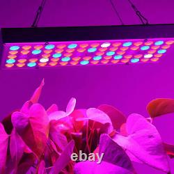 2PCS 2000W 75LED IR UV Full Spectrum Plant Grow Light For Indoor Hydroponic Veg
