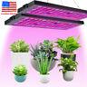 2x 1x 1000watt Led Grow Light Full Spectrum For Indoor Plants Flower Veg Bloom