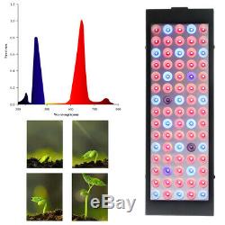 2X 1X 1000Watt LED Grow Light Full Spectrum For Indoor Plants Flower Veg Bloom