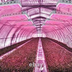 3000W Dual Chips LED Grow Light Full Spectrum Growing Light Indoor Plant Veg