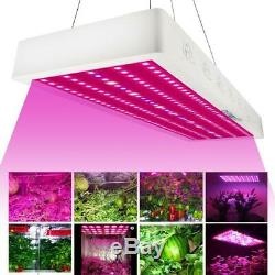 3000W Full Spectrum Hydro LED Grow Light For Medical Plants Veg Bloom Indoor GA