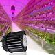 300w Led Plant Grow Light Bulbs Full Spectrum Ip65 Waterproof For Veg And Flower