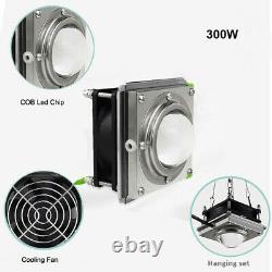 300With600With1000W COB Led Grow Light Full Spectrum Lamp For Plant Veg Hydroponics