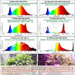 320W LED Grow Light Full Spectrum Hydroponic Plant Veg Flower For 4'x2' Tent