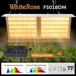 4000W Dimming Control LED Grow Light Sunlike Full Spectrum for Seeding Veg&Bloom