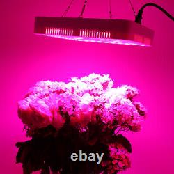5000W LED Grow Light Full Spectrum For Hydroponic Indoor Plant Flower Veg WithFan