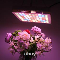 5000W LED Grow Light Full Spectrum Hydro For Veg Flower Panel Lamp Plants US MN