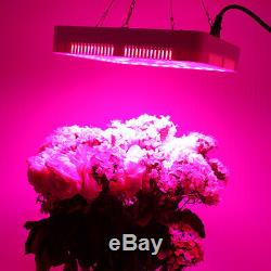 5000W LED Grow Light Hydroponic Full Spectrum Indoor Veg&Flower Plant Lamp&Panel