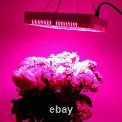 5000W LED Grow Lights Full Spectrum For Indoor Hydroponic Flower Veg Plant Lamp