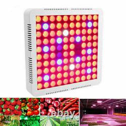 5000W LED Grow Lights Full Spectrum For Indoor Hydroponic Flower Veg Plant Lamp