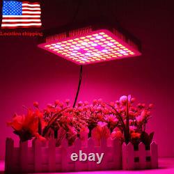 5000Watt LED Grow Light Full Spectrum For Indoor Medical Veg Plants Flower Bloom